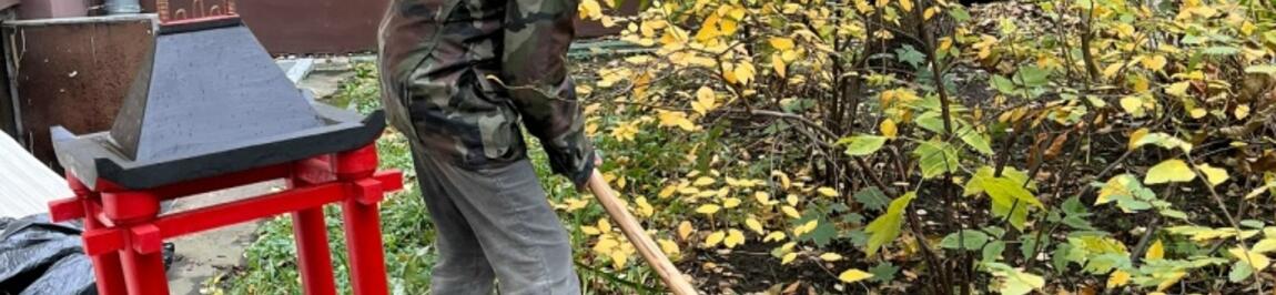 Белая гортензия во дворе Форпоста