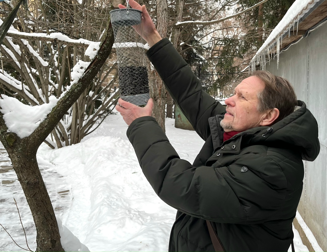 Наши кормушки в парке «Усадьба Трубецких».