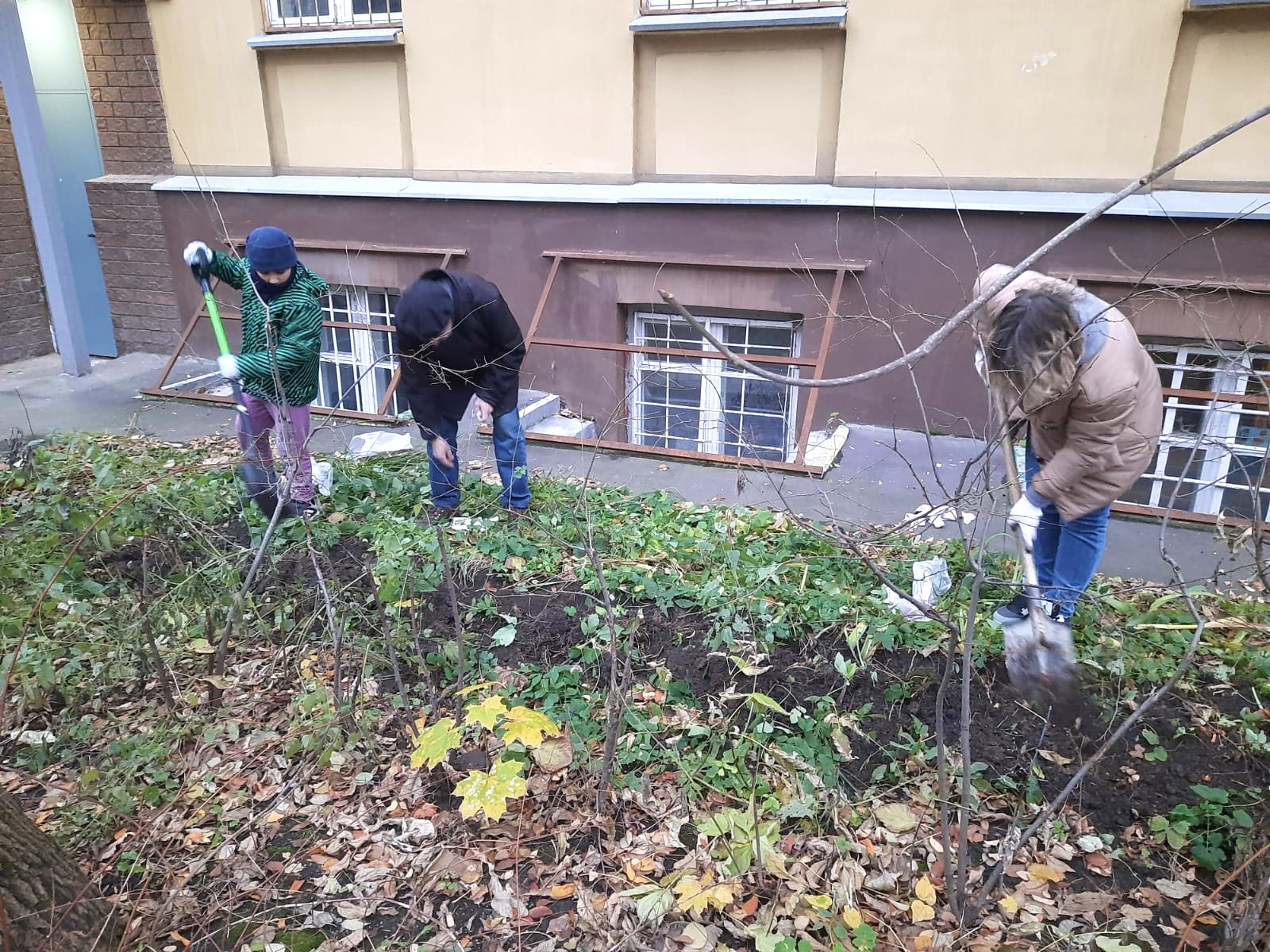 Небольшой субботник.