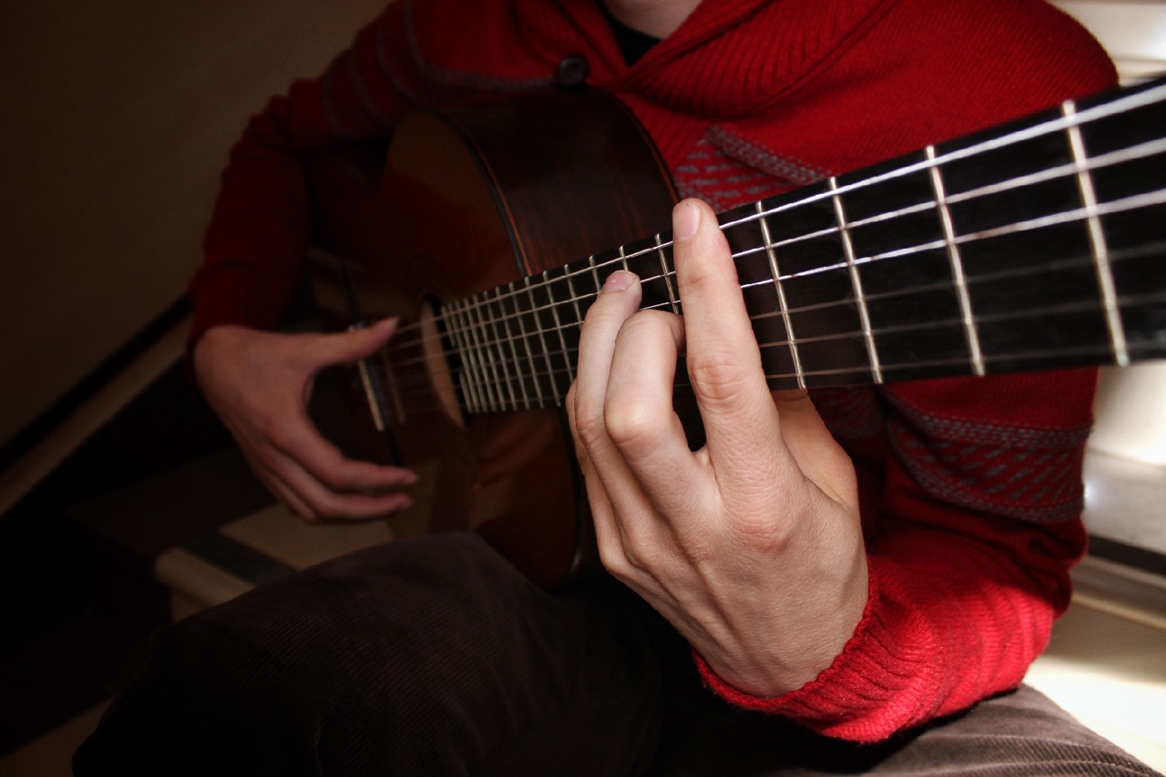 Музыкальная образовательная студия обучения игре на гитаре «Искусство звука»