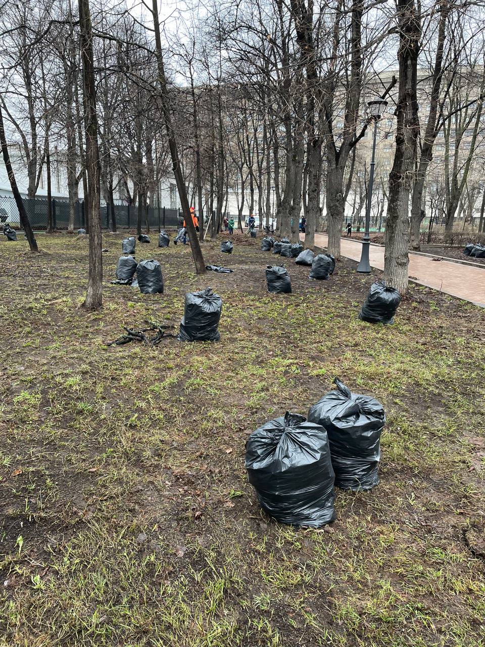 В сквере «Девичье поле» прошёл субботник.