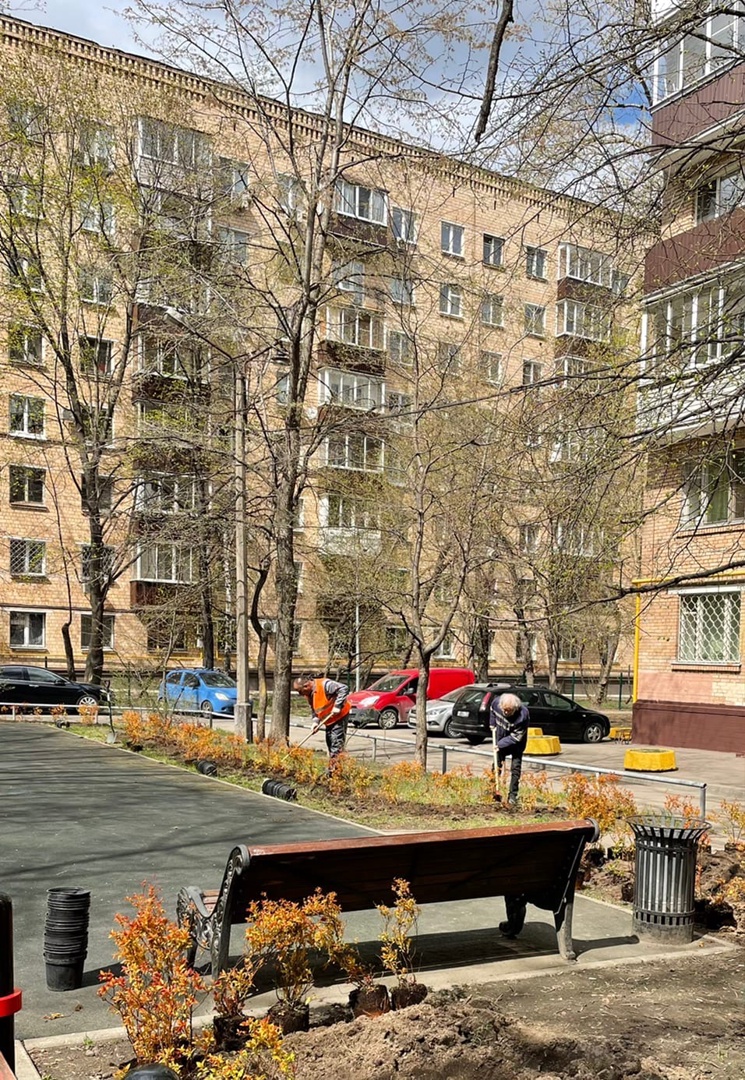 Посадка кустарника дворе дома 10 по 3-тьей Фрунзенской улице